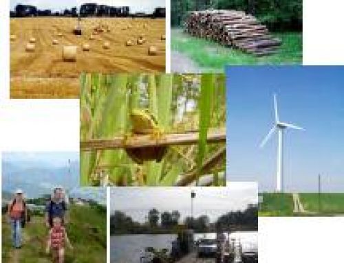 Mandated Multi-functionality