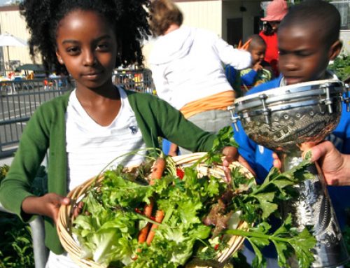 Center for Ecoliteracy